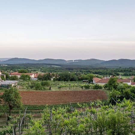 Apartma Oddih Dutovlje Εξωτερικό φωτογραφία